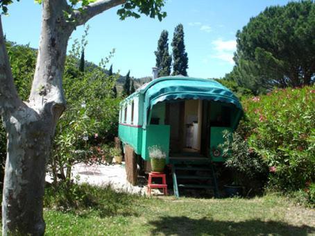 L'Amandari - Chambres D'Hotes Le Plan-de-la-Tour Dış mekan fotoğraf