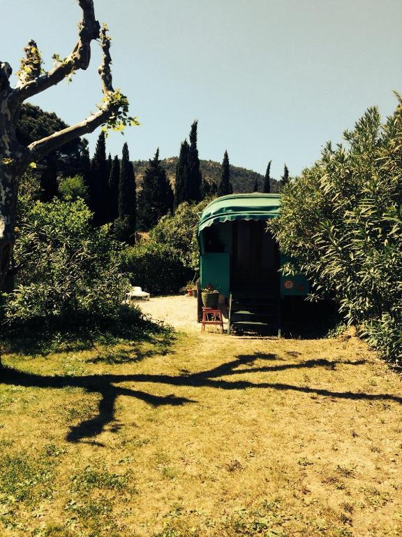 L'Amandari - Chambres D'Hotes Le Plan-de-la-Tour Oda fotoğraf
